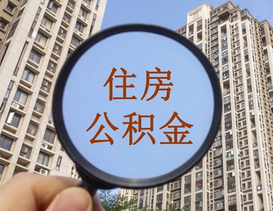 沙河退休后查不到公积金明细了吗（退休后公积金查询不到原因）